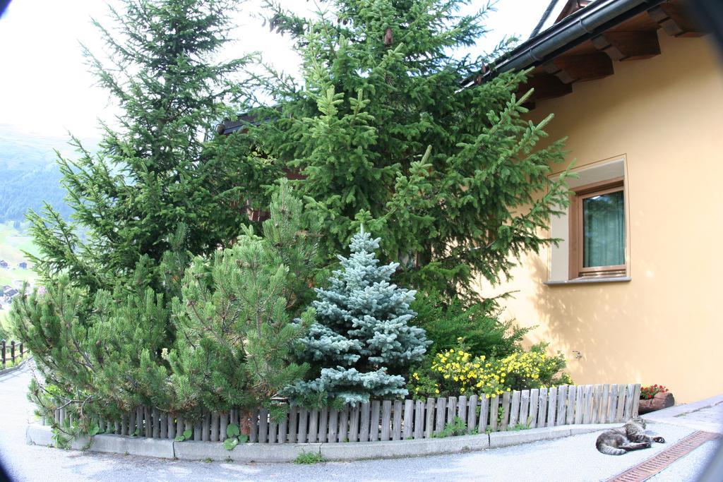 Ferienhaus Freita *