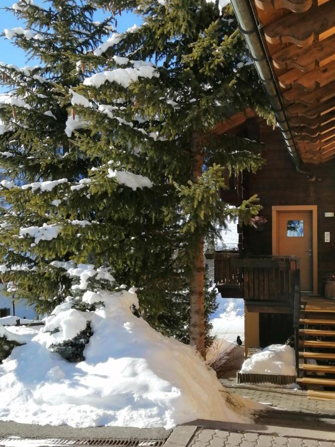 Ferienhaus Freita *